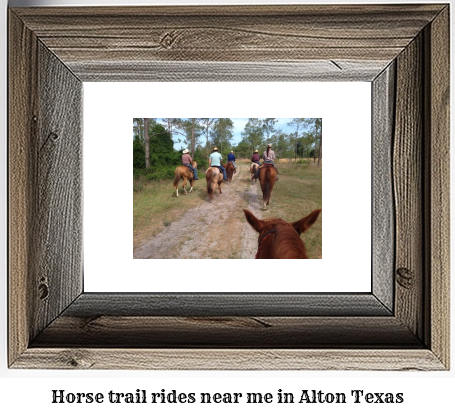 horse trail rides near me in Alton, Texas